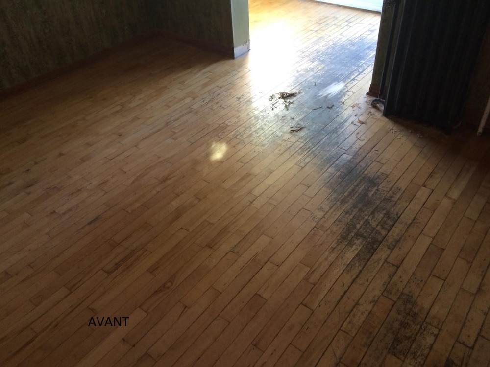Refinished oak floor — Planchers Locas